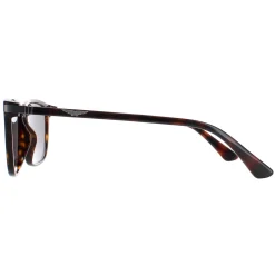 Police Sunglasses SPLE05M 0722 Dark Havana Grey Green