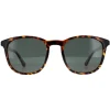 Police Sunglasses SPLF18E 978P Shiny Dark Havana Green Polarized