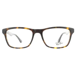 Ray-Ban Glasses Frames 5279 2012 Tortoise Men Women