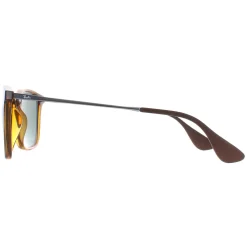 Ray-Ban Sunglasses Chris 4187 710/71 Tortoise & Gunmetal Green