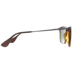 Ray-Ban Sunglasses Chris 4187 710/71 Tortoise & Gunmetal Green