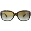Ray-Ban Sunglasses Jackie Ohh 4101 710/T5 Tortoise Brown Gradient Pola