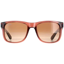 Ray-Ban Sunglasses Justin 4165 659413 Transparent Light Brown Brown Gr