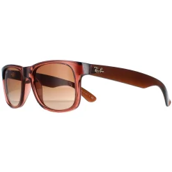 Ray-Ban Sunglasses Justin 4165 659413 Transparent Light Brown Brown Gr