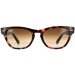 Ray-Ban Sunglasses Laramie RB2201 133451 Pink Havana Brown Gradient 54