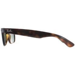Ray-Ban Sunglasses New Wayfarer 2132 902 Tortoise Green 52mm