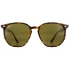 Ray-Ban Sunglasses RB4306 710/73 Havana Brown B-15