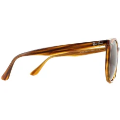 Ray-Ban Sunglasses RB4306 820/73 Striped Red Havana Dark Brown