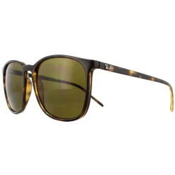 Ray-Ban Sunglasses RB4387 710/73 Tortoiseshell Brown