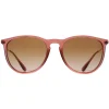 Ray-Ban Sunglasses RB4171 Erika 659013 Transparent Light Brown Brown G