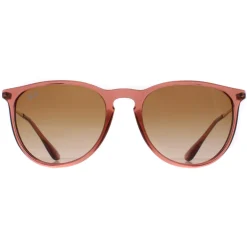 Ray-Ban Sunglasses RB4171 Erika 659013 Transparent Light Brown Brown G