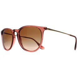 Ray-Ban Sunglasses RB4171 Erika 659013 Transparent Light Brown Brown G
