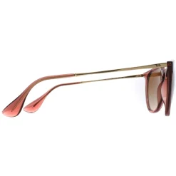Ray-Ban Sunglasses RB4171 Erika 659013 Transparent Light Brown Brown G