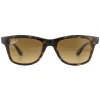 Ray-Ban Sunglasses RB4640 710/M2 Shiny Havana Brown Gradient Polarized