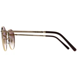 Ray-Ban Sunglasses RB3637 New Round 001/51 Gold Brown Gradient