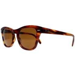 Ray-Ban Sunglasses RB0707S 954/33 Striped Havana Brown