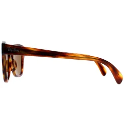 Ray-Ban Sunglasses RB0707S 954/33 Striped Havana Brown