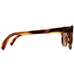 Ray-Ban Sunglasses RB0707S 954/33 Striped Havana Brown