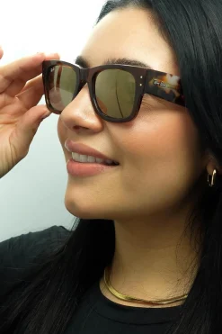 Ray-Ban Sunglasses RB0840S Mega Wayfarer 663693 Transparent Brown and