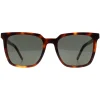 Saint Laurent Sunglasses SL M146 003 Havana Grey