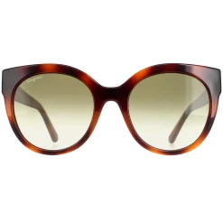 Salvatore Ferragamo Sunglasses SF1031S 214 Tortoise Green
