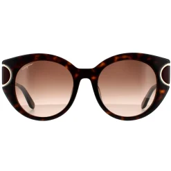Salvatore Ferragamo Sunglasses SF840SA 214 Tortoise Brown Gradient