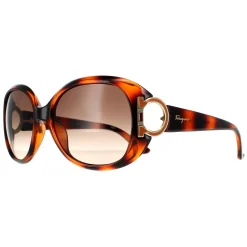 Salvatore Ferragamo Sunglasses SF668 238 Tortoise Brown Gradient