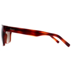 Salvatore Ferragamo Sunglasses SF959S 214 Tortoise Brown