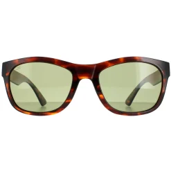 Serengeti Sunglasses Chandler SS557001 Classic Tortoise Saturn Polariz