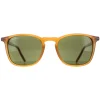 Serengeti Sunglasses Delio 8855 Shiny Honey Mineral Polarized 555nm Gr
