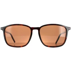 Serengeti Sunglasses Lenwood 8933 Shiny Dark Havana Mineral Polarized