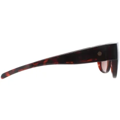 Smarty Sunglasses SA220 0A Brown Tortoise Brown