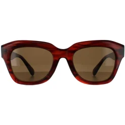 Smarty Sunglasses SB2311 B Demi Transparent Brown Brown