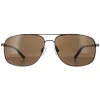 Smarty Sunglasses SB1304 B Gun Brown