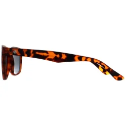 Smarty Sunglasses SB2309 B Satin Dark Tortoise Brown Grey