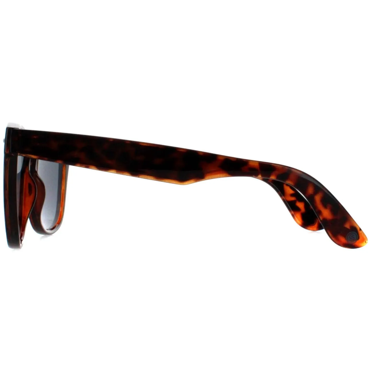 Smarty Sunglasses SB2304 B Tortoise Brown Grey