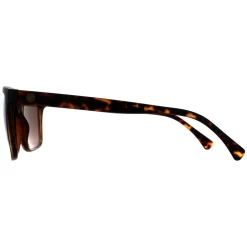 Smarty Sunglasses SB2201 B Tortoise Brown Brown