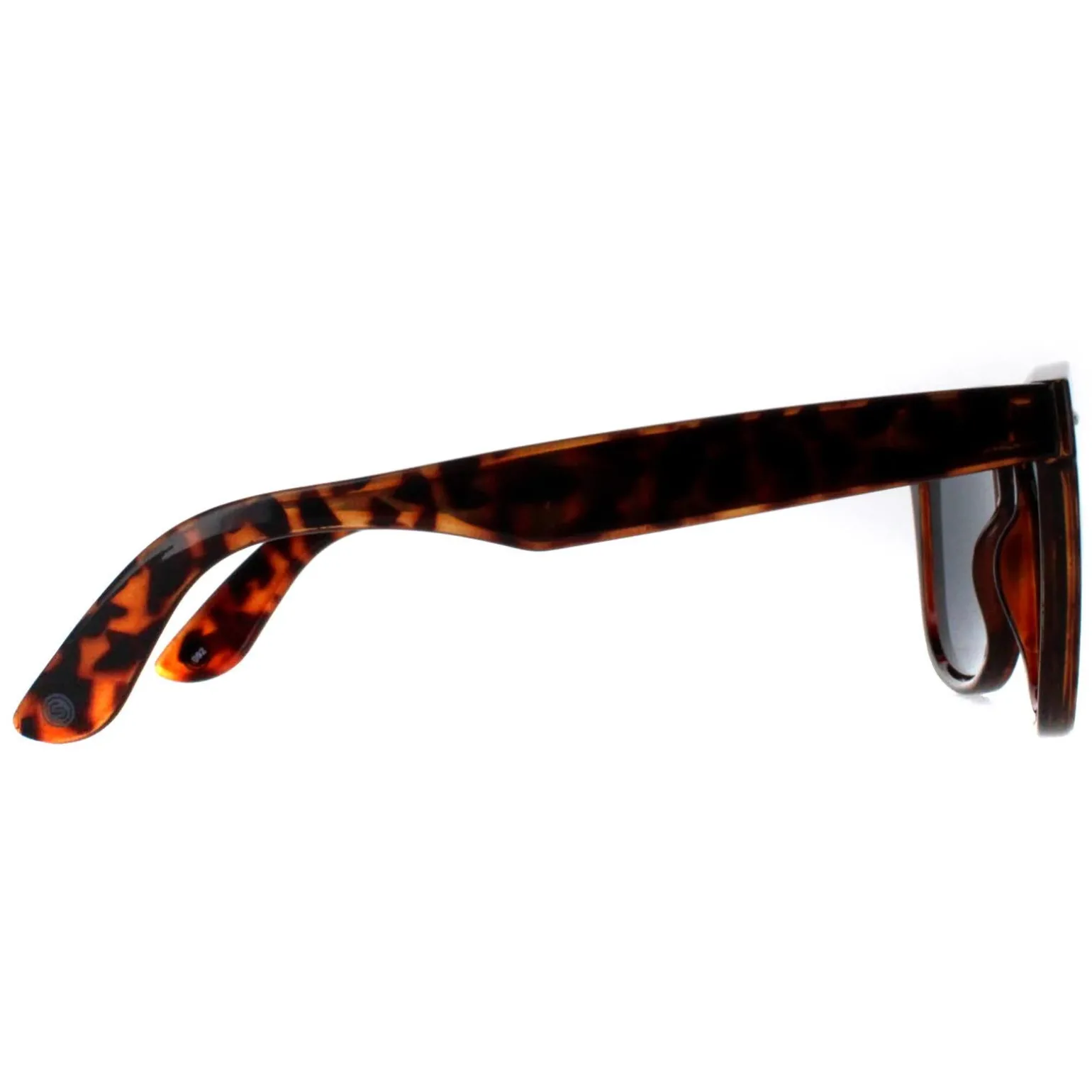 Smarty Sunglasses SB2304 B Tortoise Brown Grey