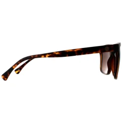 Smarty Sunglasses SB2201 B Tortoise Brown Brown