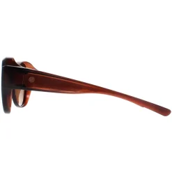 Smarty Sunglasses X2115 B Transparent Brown EF Brown