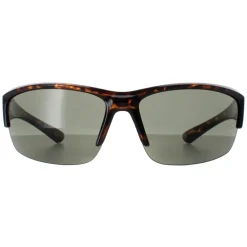 Smarty Sunglasses X2036 C Demi Brown Tortoise Green