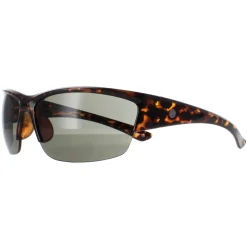 Smarty Sunglasses X2036 C Demi Brown Tortoise Green