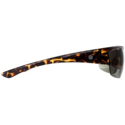 Smarty Sunglasses X2036 C Demi Brown Tortoise Green