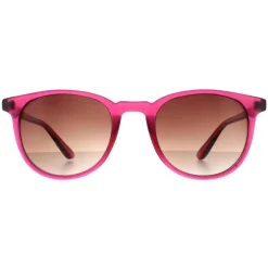 Smarty Sunglasses X2132 C Transparent Cassis Pink Brown