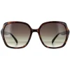 Smarty Sunglasses X2110 D Tortoise Brown Grey