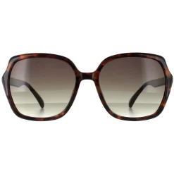 Smarty Sunglasses X2110 D Tortoise Brown Grey