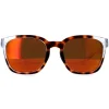 Smith Sunglasses Founder KRZ X6 Havana and Transparent Chromapop Red M