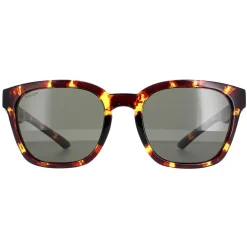 Smith Sunglasses Founder Slim MY3 IN Tortoise Green Polarized