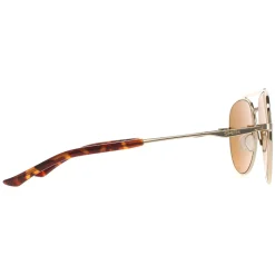 Smith Sunglasses Westgate J5G L5 Gold Chromapop Brown Polarized