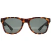 Superdry Sunglasses Alfie 102P Havana Green